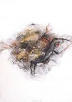 Nest-2