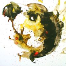 schwarzer-erdling-2