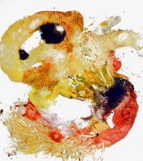 shrimp 2003